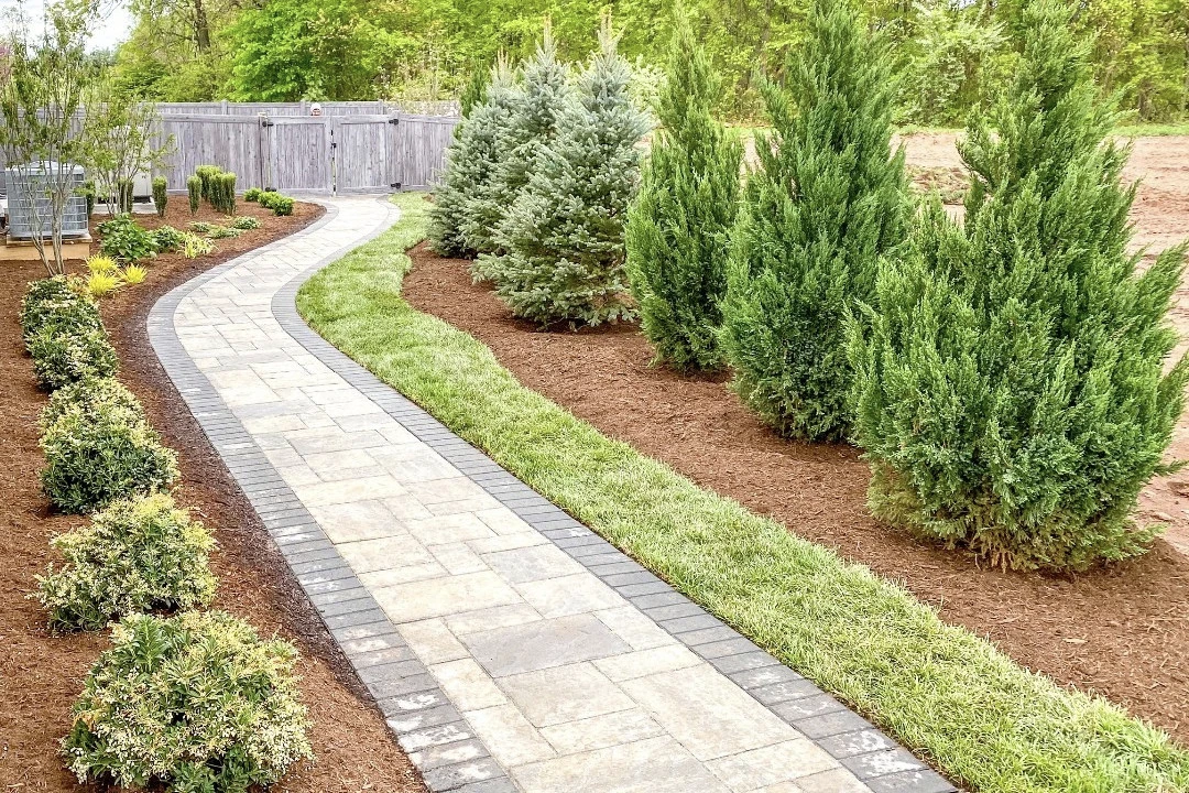 interlock walkway in backyard